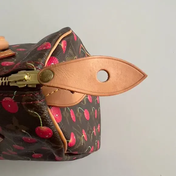 Louis Vuitton Monogram Cherries Speedy 25 - Picture 9 of 16